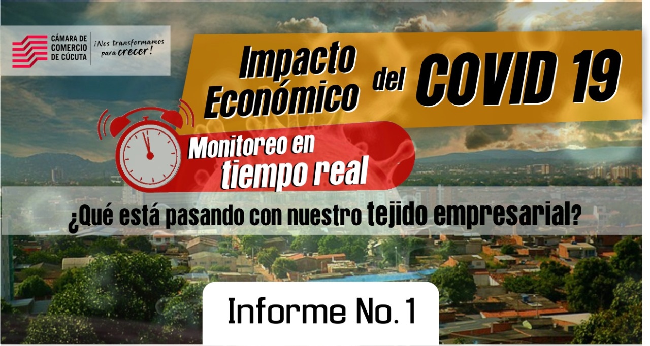 Primer Informe Monitoreo del Impacto Econmico del COVID 19